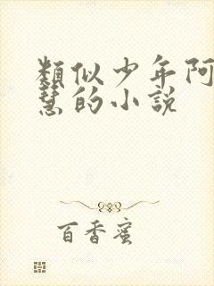 类似少年阿宾钰慧的小说