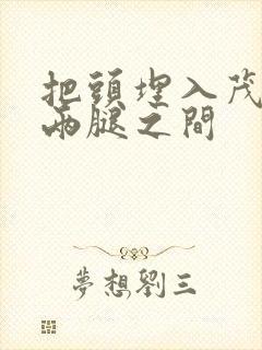 把头埋入茂密的两腿之间封面