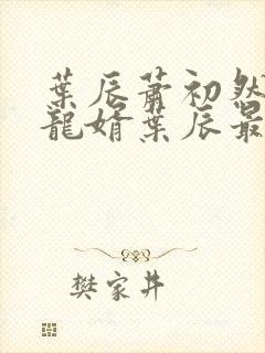 叶辰萧初然上门龙婿叶辰最新