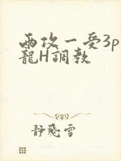 两攻一受3p双龙H调教