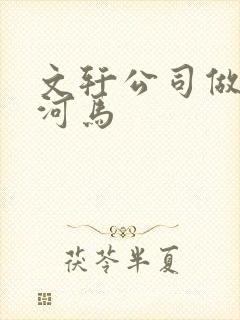 文轩公司做扩张河马