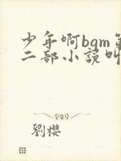 少年啊bgm第二部小说叫什么