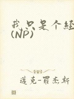 我只是个经纪人(NP)封面