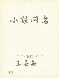 小说网名