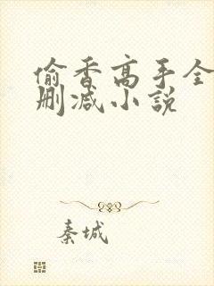 偷香高手全文无删减小说