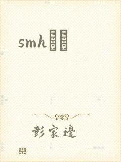 smhС˵封面