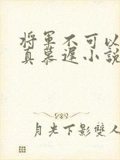 将军不可以魏云真慕迟小说笔趣阁