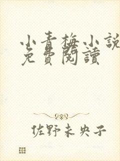 小青梅小说全文免费阅读封面
