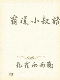 霸道小叔请轻撩封面