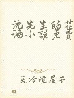 沈先生的花式调酒小说免费阅读