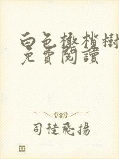 白色橄榄树全文免费阅读