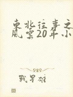 东北往事之黑道风云20年小说