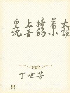 皇上撞着太子妃沈音的小说叫什么封面