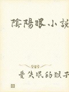 阴阳眼小说