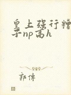 皇上强行糟蹋太子np高h