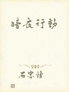 暗夜行动封面