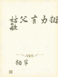 姑父有力挺送赵敏封面