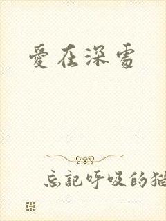 爱在深处封面