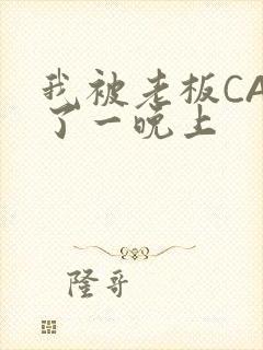 我被老板CAO了一晚上