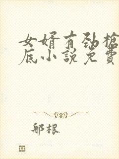 女婿有劲枪枪到底小说免费阅读封面