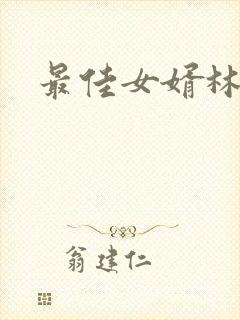 最佳女婿林凡封面