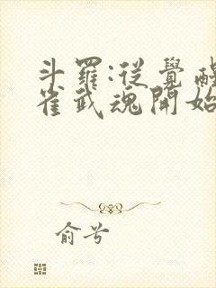 斗罗:从觉醒朱雀武魂开始封面