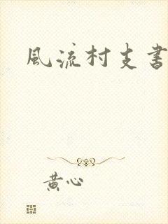 风流村支书封面