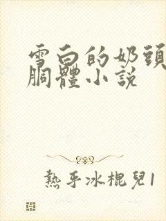 雪白的奶头丰韵胴体小说