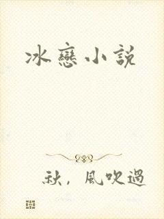 冰恋小说封面