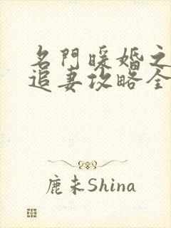 名门暖婚之权爷追妻攻略全文免费阅读