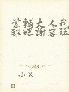 首辅大人我们和离吧谢容珏