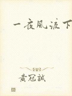 一夜风流下载