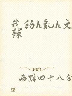 我的h乱h文高辣