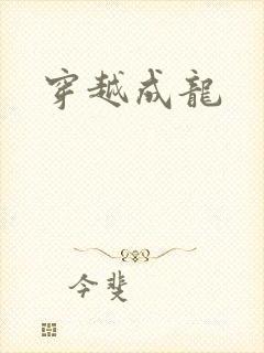 穿越成龙封面