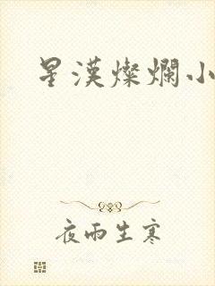 星汉灿烂小说