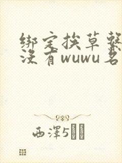 绑定挨草系统后没有wuwu名字