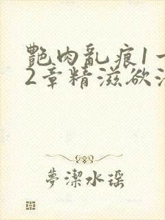 艳肉乱痕1一12章精滋欲液封面