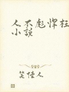 人不彪悍枉少年小说
