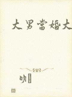 大男当婚大结局