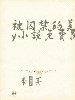 被囚禁的美人by小说免费阅读