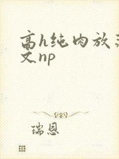 高h纯肉放荡h文np封面