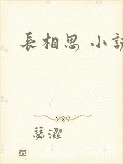 长相思 小说封面