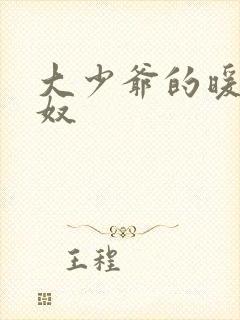 大少爷的暖床小奴