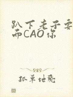 趴下老子要从后面CAO你