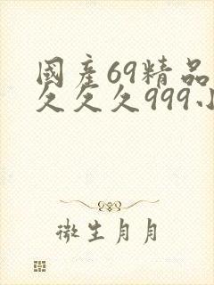 国产69精品久久久久999小说