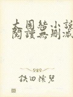 大团结小说在线阅读无删减