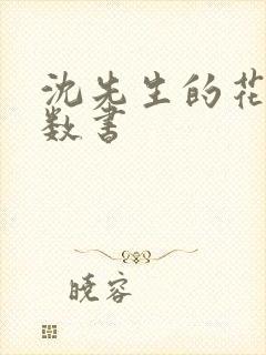 沈先生的花式调数书