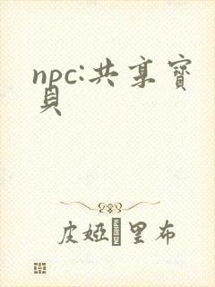 npc:共享宝贝