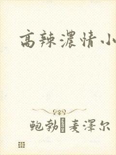 高辣浓情小说