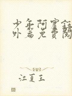 少年阿宾钰慧番外篇免费阅读